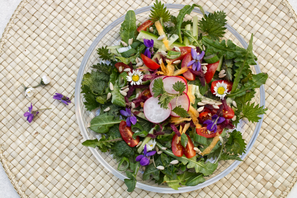 Wildkräuter-Salat mit Brennnessel und Löwenzahn